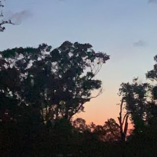 Profile Picture of AddisonFontenot (@addisonfontenot) on Instagram