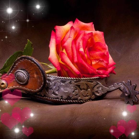 Profile Picture of Nadia Al othman (@nadia1977sahmed) on Poshmark