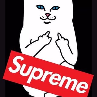 Profile Picture of Eli Cates (@eli.cates) on Instagram