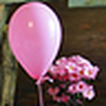 Profile Picture of David Connolly (@leanne video montage) on Flickr