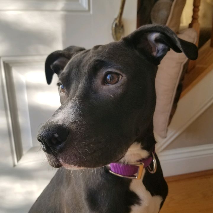 Profile Picture of patrick (@dmv_patrick) on Tiktok