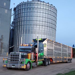 Profile Picture of Felty D. Borntreger (@felty.borntreger) on Facebook