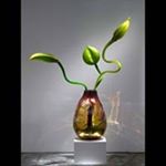 Profile Picture of Robin Artz (@artzrobin) on Instagram