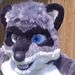 Profile Picture of Thomas Labatte (@thomaslabatte) on Pinterest