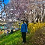 Profile Picture of 윤동규 (@daniel_yoon__) on Instagram