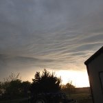 Profile Picture of Jacob Rischmann (@rischamnnj) on Instagram