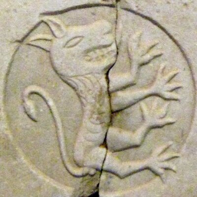 Profile Picture of Dr Matthew McCallum (@ArchaeoMcCallum) on Twitter
