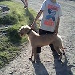 Profile Picture of Clarence Richards (@richards.clarence) on Instagram