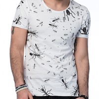 Profile Picture of Ann Star (@ann-star-5) on Quora