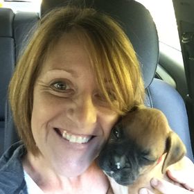 Profile Picture of Kimberly Lehman-Obrien (@jerseyk68) on Pinterest