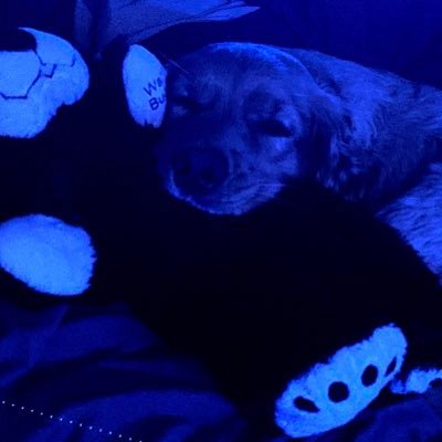 Profile Picture of Madden Ellis (@maddenellis2) on Twitter