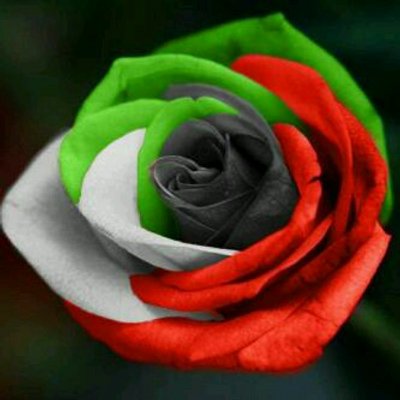 Profile Picture of James (@Ahmed2810Jamila) on Twitter