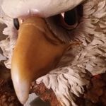 Profile Picture of Kevin Lanaghan (@kevinlanaghan) on Instagram