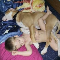 Profile Picture of Matt Mcnutt (@matt-mcnutt-4) on Quora