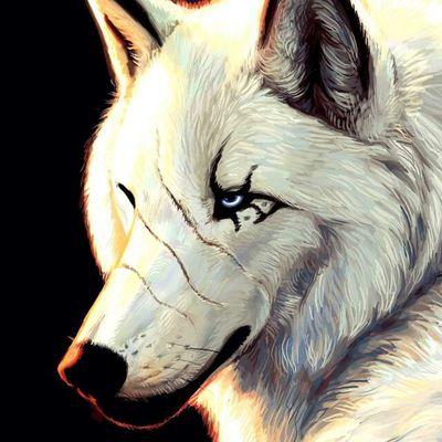 Profile Picture of Demian Sanchez (@demiansanchez97) on Twitter