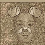 Profile Picture of bradley cook (@weecookie4) on Instagram