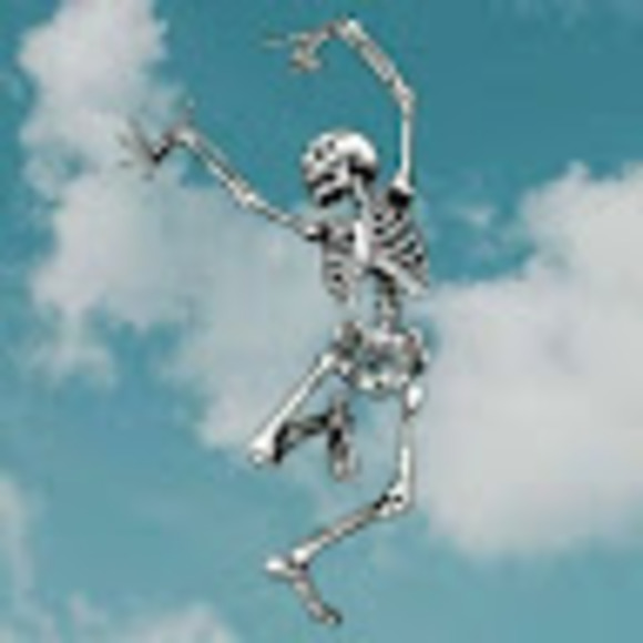 Profile Picture of Lily Bridegam (@lilybridegam) on Poshmark