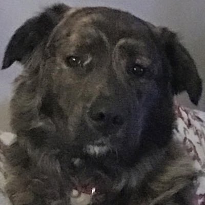 Profile Picture of Doug Jeffries (@JeffriesDoug) on Twitter