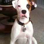 Profile Picture of Paul Doane (@paul.doane2744) on Instagram