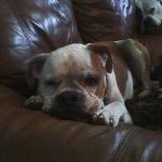 Profile Picture of Nancy Kloss (@nlkloss) on Pinterest