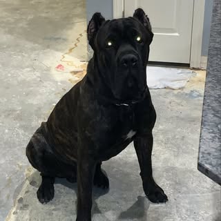 Profile Picture of Derrick Turner (@turner_derrick) on Instagram