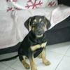 Profile Picture of bryanblom (@@bryanblom8) on Tiktok