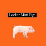 Profile Picture of Franie Mae & Pumba Ryan Locker (@franie_pumba13) on Instagram