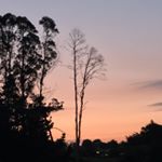 Profile Picture of James Macaskill-Smith (@officemax_0.75mm_lead) on Instagram