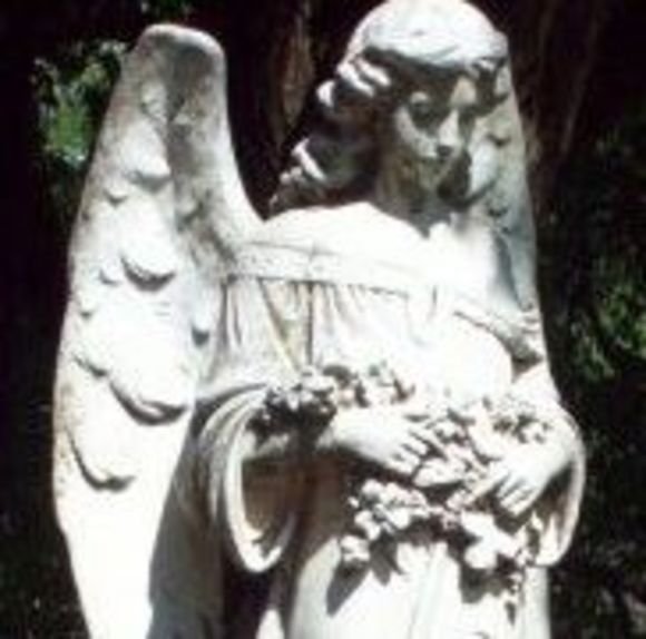 Profile Picture of Sally Mummel (@yayadryer) on Poshmark