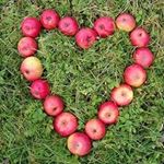 Profile Picture of Apple Jack Orchards (@applejackorchards) on Instagram