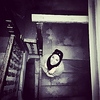 Profile Picture of Mona Mahmoud (@molynostar) on Flickr