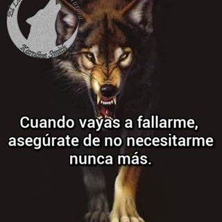 Profile Picture of Brandon Lorenzo (@brandon.lorenzo.5836) on Facebook