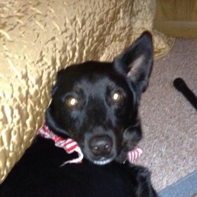 Matthew Kutner - Twitter Profile Picture of Matthew Kutner (@mpkutner) on Twitter