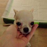 Profile Picture of Alice Stacy (@grantwillinca) on Instagram