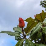 Profile Picture of Zachary Valenter (@zakpnw) on Instagram