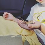 Jamie Helton Ottinger - Instagram Profile Picture of Jamie Helton Ottinger (@jamie_helton_o) on Instagram