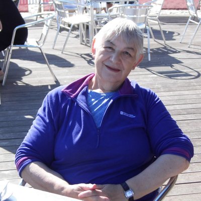 Profile Photo of Carol Rees-Partridge (@xstitcher11) on Twitter