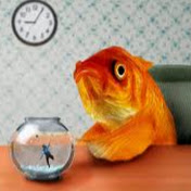 Profile Picture of Max Jent (@maxjent4476) on Youtube