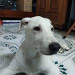 Profile Picture of Mr.Rôn (@mr.ronzonejohn) on Instagram