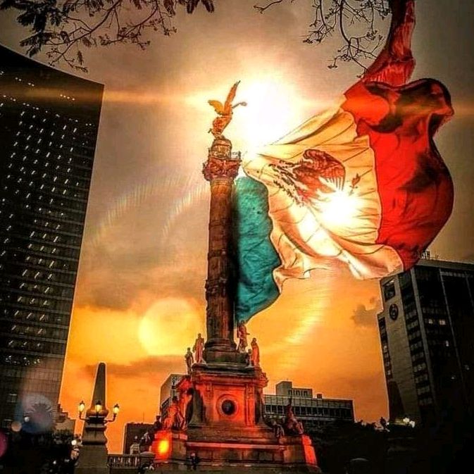 Profile Picture of Danielkil (@danielkil4) on Tiktok