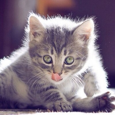 Profile Picture of ERIC GONZALEZ AGOSTO (@1963EricE) on Twitter