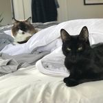 Profile Picture of Arnold aka Tito Lainez (@unusedmonkey) on Instagram