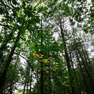 Profile Picture of Mike Crotty (@mike_crotty) on Twitter