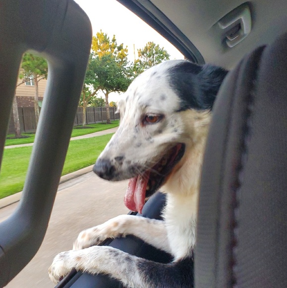 Profile Picture of Tommy Adams (@carsonkid21) on Poshmark