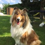 Profile Picture of Christian Frison (@christian.frison.58) on Facebook