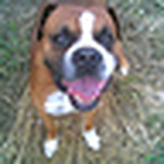 Profile Picture of Julio Rodríguez Martínez (@yust22) on Flickr