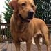 Profile Picture of Lori Beck Biese (@lori.beck.794) on Facebook