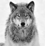 Profile Picture of Jaime Corujo (@jaime.corujo.10) on Facebook