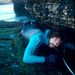 Profile Picture of Brian Tissot (@DrAbalone) on Pinterest
