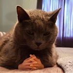 Profile Picture of Eric (@eric.lagacee) on Instagram